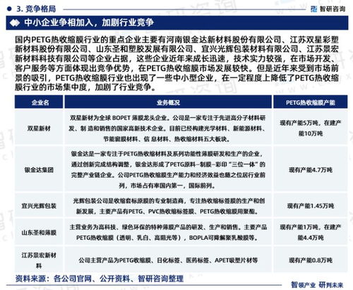 2023版中国PETG热收缩膜行业市场分析研究报告 智研咨询权威发布
